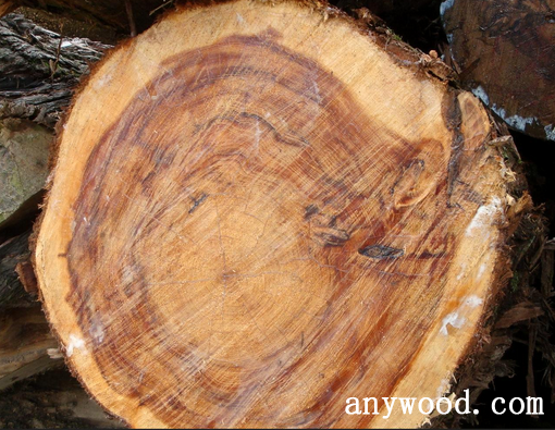 批木网 anywood.com