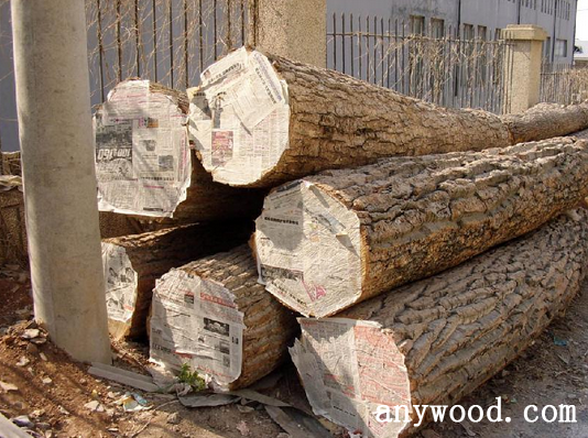 批木网 anywood.com