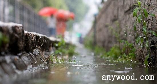 临安春雨初霁