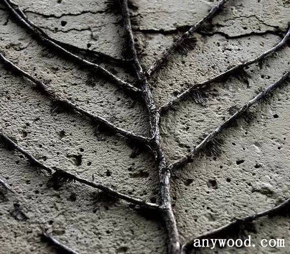 批木网 anywood.com