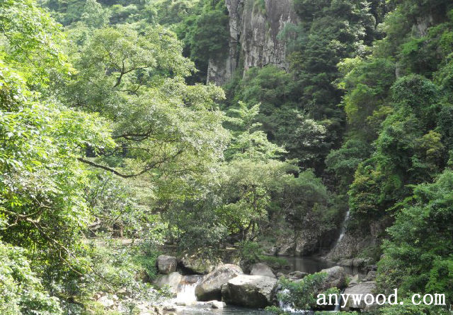 批木网 anywood.com