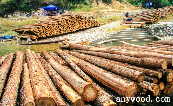 批木网 anywood.com