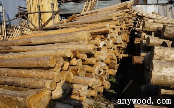 批木网 anywood.com
