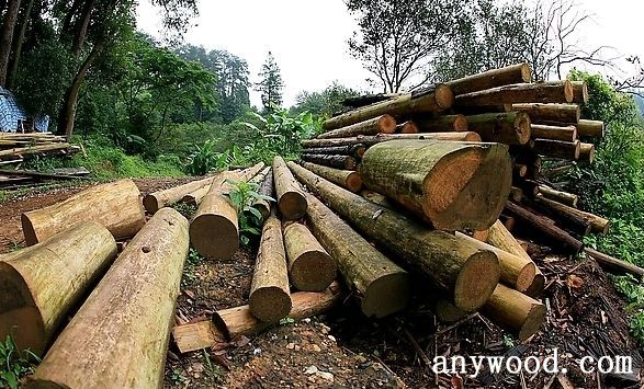 批木网 anywood.com