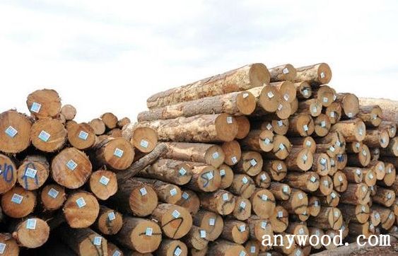 批木网 anywood.com