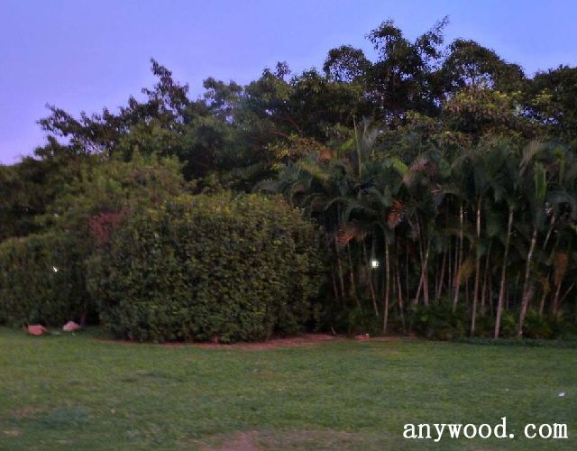 批木网 anywood.com