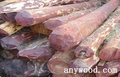 批木网 anywood.com