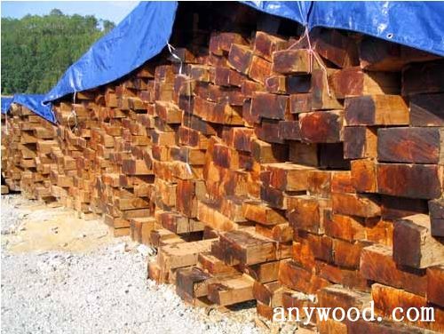 批木网 anywood.com