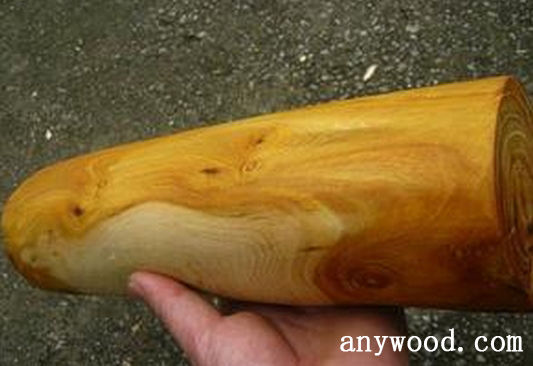 批木网 anywood.com