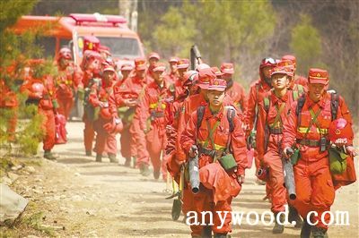 批木网 anywood.com