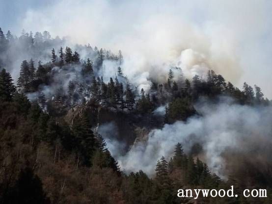 批木网 anywood.com