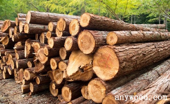 批木网 anywood.com