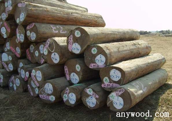 批木网 anywood.com