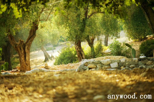 批木网 anywood.com
