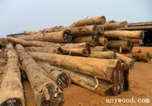 批木网 anywood.com