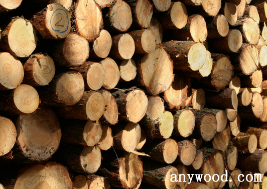 批木网 anywood.com