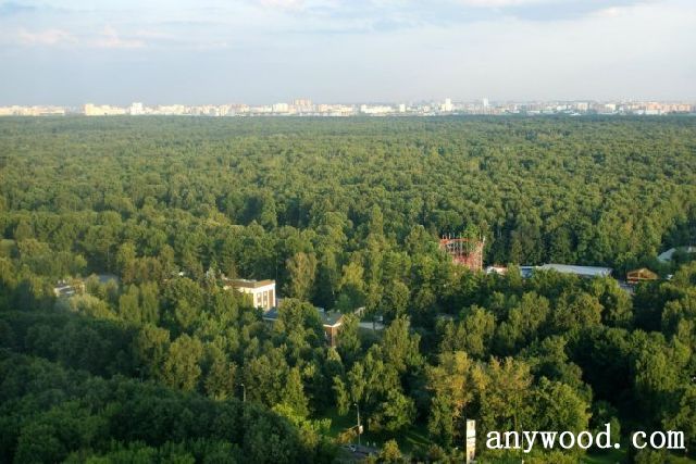 批木网 anywood.com