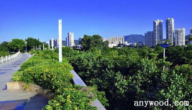 批木网 anywood.com