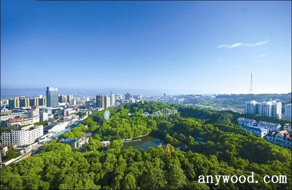 批木网 anywood.com