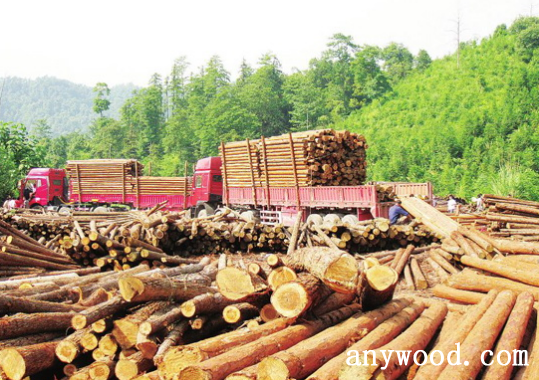 批木网 anywood.com