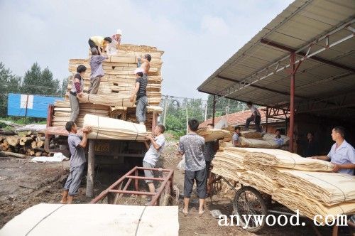 批木网 anywood.com