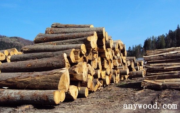 批木网 anywood.com
