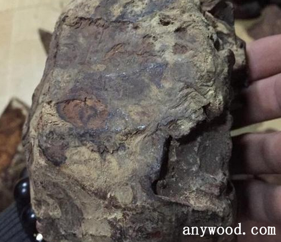 批木网 anywood.com