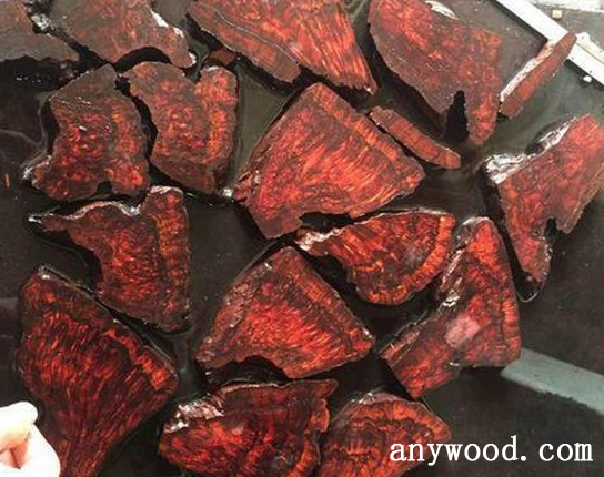 批木网 anywood.com