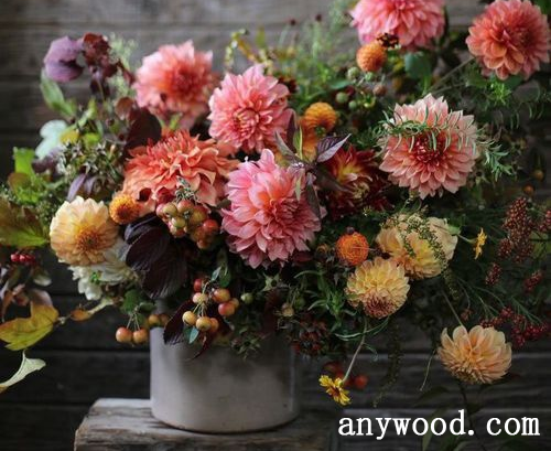 批木网 anywood.com