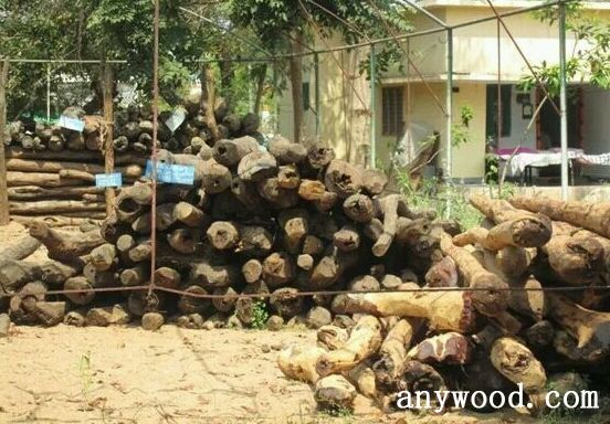 批木网 anywood.com