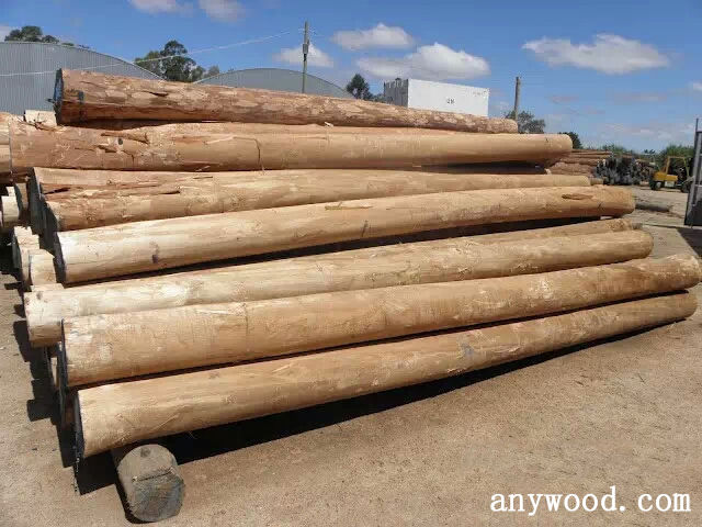 批木网 anywood.com