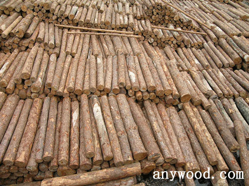 批木网 anywood.com