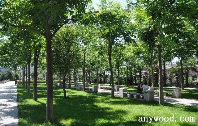 批木网 anywood.com