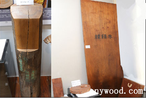 批木网 anywood.com