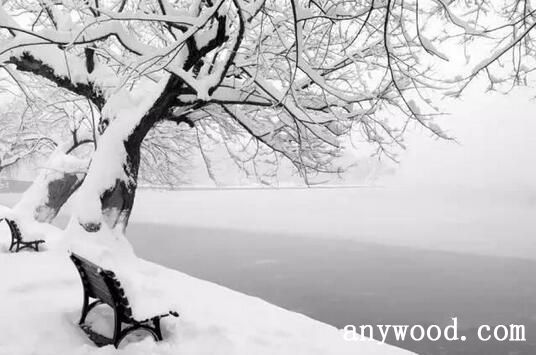 【批木网】anywood.com