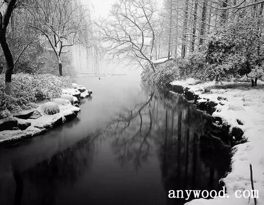【批木网】anywood.com
