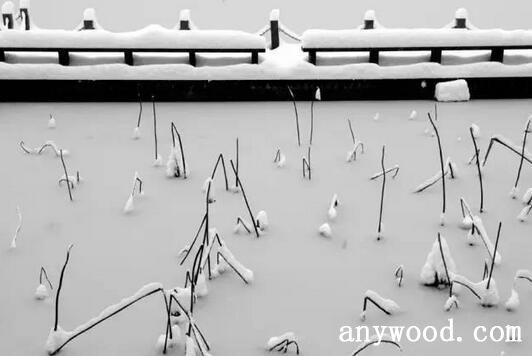 【批木网】anywood.com