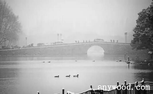 【批木网】anywood.com