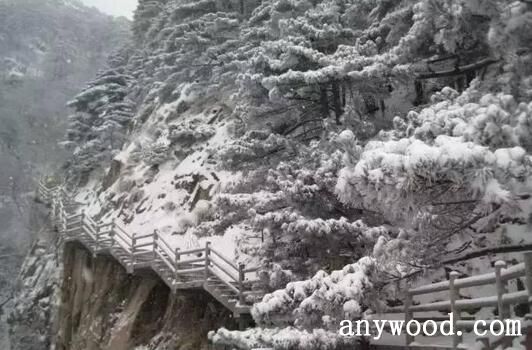 【批木网】anywood.com