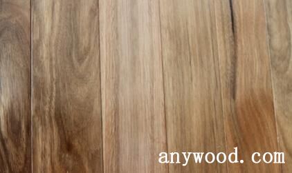 斑点桉(Spotted Gum)