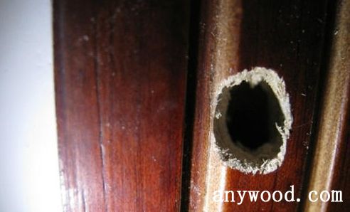 批木网 anywood.com