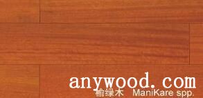 榆绿木