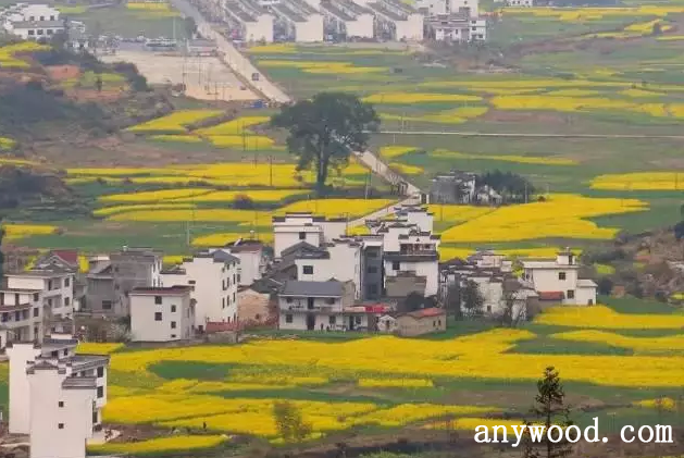 篁岭村