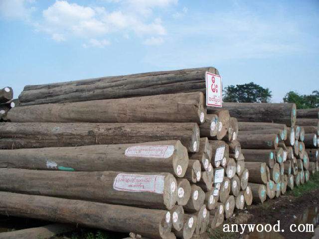 批木网 anywood.com