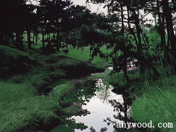 批木网 anywood.com