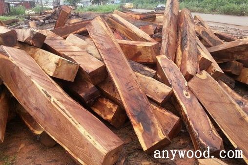 批木网 anywood.com