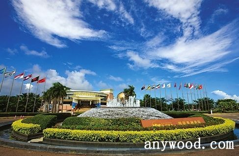 批木网 anywood.com