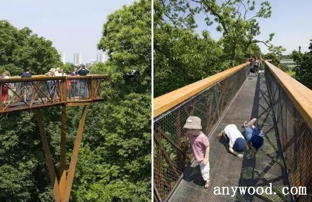 丘园树间人行走廊