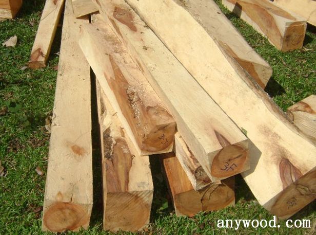 批木网 anywood.com