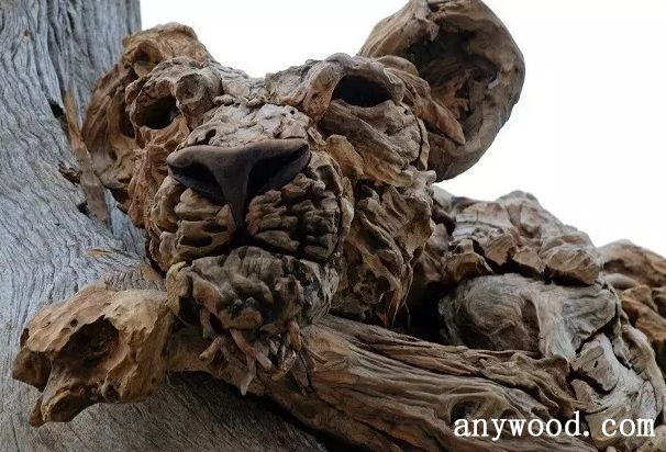 批木网 anywood.com